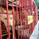 구포정비 이미지