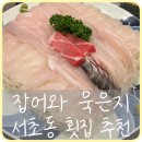 잡어와 묵은지