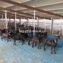 바다부동산공인중개사사무소 이미지