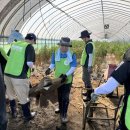 농협은행 앞 이미지