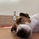 해달별펜션 이미지