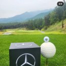 기브코리아 이미지