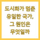 도시화가 멈춘 유일한 국가, 그 원인은 무엇일까