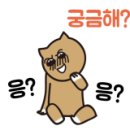 오광케어 이미지