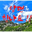부동산생활법률 이미지