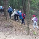 (번개걷기) 10월3일(화) 용인법화산 둘레길 걷기 이미지