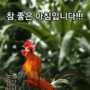 명심보감 이미지