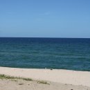 강릉송이 이미지