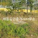 와우부동산공인중개사사무소 이미지