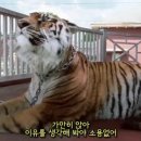 럭키떡볶이