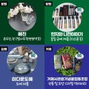 한지와나전이야기