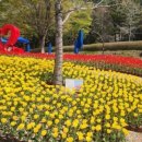 웰빙공원 이미지