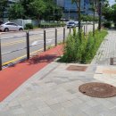 교통박사 행정사 이미지