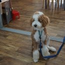 왜목하우스모텔 이미지