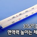 36.5도C를 지켜라! 이미지