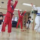 용인대창조태권도장 이미지