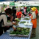 산채으뜸마을 이미지