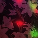 폭포노래연습장 이미지