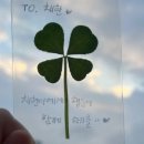 서일여자고등학교 이미지