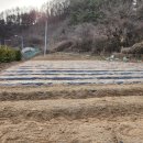 계촌 농장 이미지