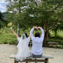 손쉼민박