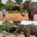 터미널그린약국 | [임신일기] #23-24주 푸켓 태교여행 4박 6일