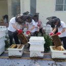 미탄중학교 이미지