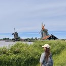 네덜란드풍차마을 | 네덜란드 암스테르담 풍차마을 잔세 스칸스 가는법 레이오버 반나절 여행기