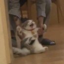 (주)아이티맨 | 눈물겨운 컴활 1급 실기 합격 후기🥹 (4트, 완전 자세하게 공유해봐용)