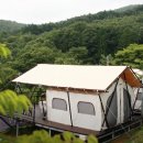 웅이네 캠핑장 이미지