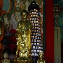 제주 정광사 소조미륵여래입상 이미지