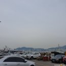 주말의 일상)감만부두 시민공원 낚시 &amp; 해운대 모래축제