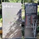 철마광장 | 부산 기장 철마 아홉산숲 영화 촬영지 대숲/아들과 함께 흐른 세월