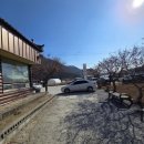 초원가든 | 영월맛집 현지인맛집 초원가든 생선구이 내돈내산 후기(12,000원 생선구이에 양념게장,꼬막무침)