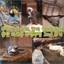 카누여관 | 주말에 아이와 함께 실내동물원 동탄 라크몽 주렁주렁 2nd 후기