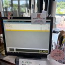 부여군산림조합 임산물유통센터 | 천안시산림조합 임산물유통센터 <화분 구매 및 분갈이 후기>