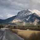 비아 매일카 이미지