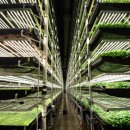 단지농장 이미지