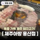 용산-112 | 용산역 내돈내산 삼겹살 맛집 제주아방에서 오겹살 항정살 내돈내산 후기