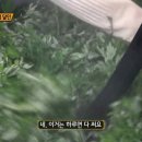 매일떡방앗간 이미지