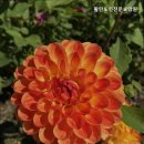 서산요양원 활란노인전문요양원 편안한 돌봄 서비스