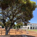 표선동서로 이미지