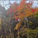 너릿재옛길정상 공중화장실 | 맨발걷기, 산악자전거, 러닝, 산책하기 좋은 화순 너릿재 옛길