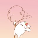 솜사탕 이미지