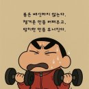 오늘도클로버