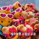 [제주] 3박4일 제주도가족여행 아이와 가볼만 한 소품샵 모음 후기