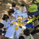 숲체험(용정산림공원) 이미지