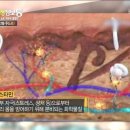 생생메디컬 이미지