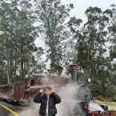 🇦🇺 비 오는 날의 감성 여행지, 멜버른 퍼핑빌리 증기기관차 후기 🚂🌧️