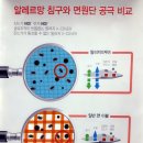 알레르망대구 - 달서구 달구벌대로 1516 | 알레르망대구